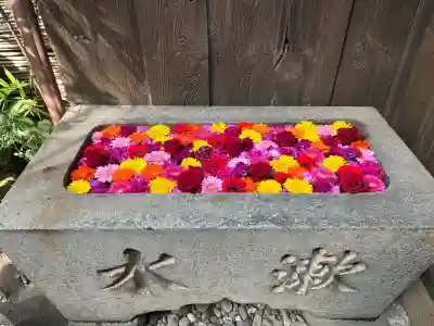 菅生神社の{uncategorized: "未分類", other: "その他", undefined: "問題あり", building: "その他建物", grave: "お墓", sacred_gate: "鳥居", guardian: "狛犬", statue: "像", buddha: "仏像", history: "歴史", nature: "自然", garden: "庭園", animal: "動物", pagoda: "塔", temizu: "手水舎", mountain_gate: "山門・神門", sanctuary: "本殿・本堂", subordinate: "末社・摂社", art: "芸術", scenery: "景色", jizo: "地蔵", ema: "絵馬", goshuin: "御朱印", omikuji: "おみくじ", items: "授与品その他", amulet: "お守り", goshuincho: "御朱印帳", eats: "食事", festival: "お祭り", votive_dance: "神楽", shichigosan: "七五三参", wedding: "結婚式", experience: "体験その他", initially: "初詣", around: "周辺", anti_infection: "感染症対策"}