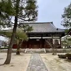 百萬遍知恩寺(京都府)