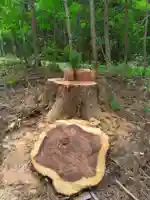 熊野神社(岐阜県)