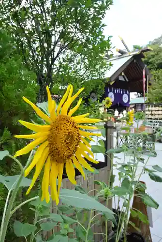 東京大神宮(東京都)