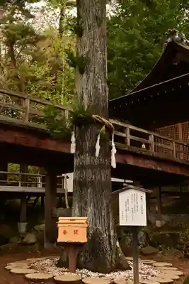 身曾岐神社(山梨県)