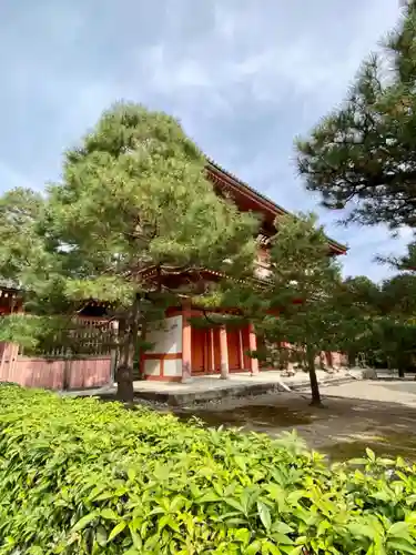 大徳寺のその他建物