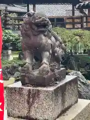 華光寺の狛犬