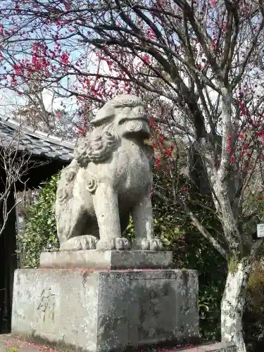 境香取神社の狛犬