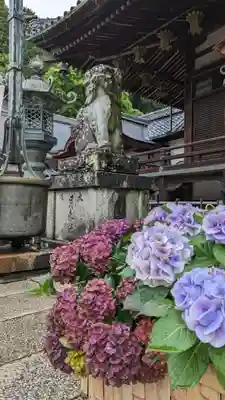 柳谷観音　楊谷寺(京都府)