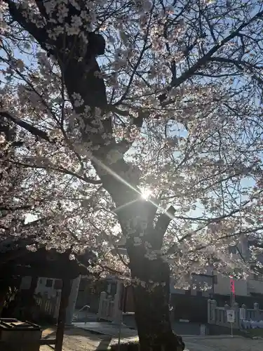 大年神社(兵庫県)