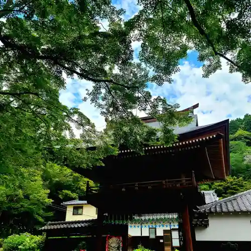 普門寺(切り絵御朱印発祥の寺)(愛知県)