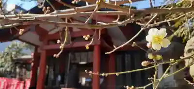くまくま神社(導きの社 熊野町熊野神社)のその他建物