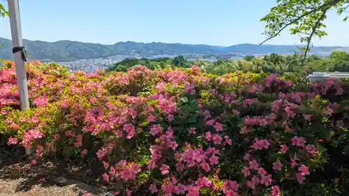 本栖寺(京都府)