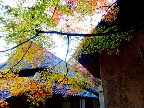 教林坊(滋賀県)