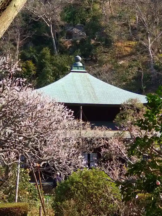 瑞泉寺(神奈川県)
