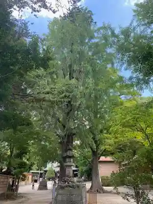春日部八幡神社(埼玉県)