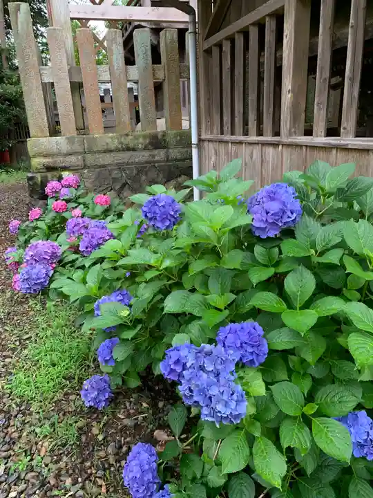 八雲神社の自然