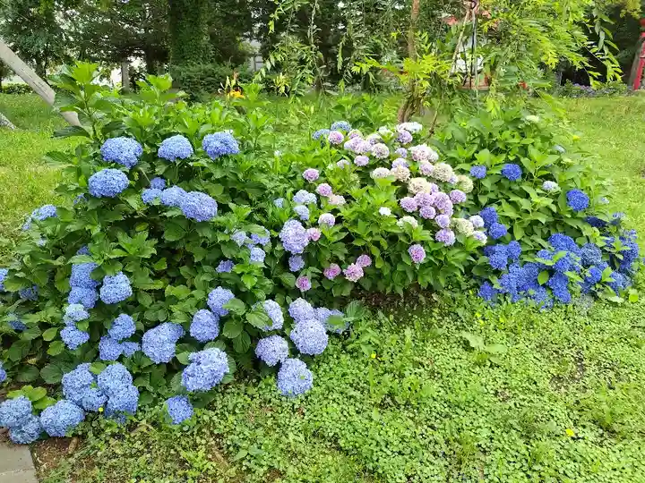 空知神社の庭園