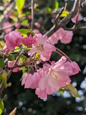 潮田神社(神奈川県)