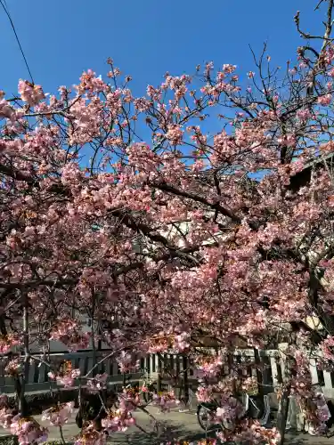 三嶋大社の{uncategorized: "未分類", other: "その他", undefined: "問題あり", building: "その他建物", grave: "お墓", sacred_gate: "鳥居", guardian: "狛犬", statue: "像", buddha: "仏像", history: "歴史", nature: "自然", garden: "庭園", animal: "動物", pagoda: "塔", temizu: "手水舎", mountain_gate: "山門・神門", sanctuary: "本殿・本堂", subordinate: "末社・摂社", art: "芸術", scenery: "景色", jizo: "地蔵", ema: "絵馬", goshuin: "御朱印", omikuji: "おみくじ", items: "授与品その他", amulet: "お守り", goshuincho: "御朱印帳", eats: "食事", festival: "お祭り", votive_dance: "神楽", shichigosan: "七五三参", wedding: "結婚式", experience: "体験その他", initially: "初詣", around: "周辺", anti_infection: "感染症対策"}
