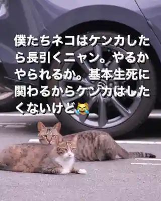 専念寺(大阪府)