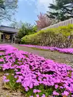 厚別神社(北海道)