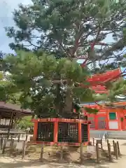 根本大塔　高野山金剛峯寺(和歌山県)