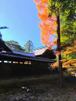 鞆江神社(明地)の本殿・本堂