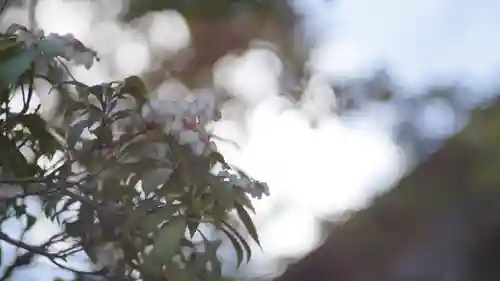 新長谷寺(京都府)