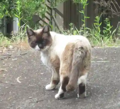 易往寺(神奈川県)