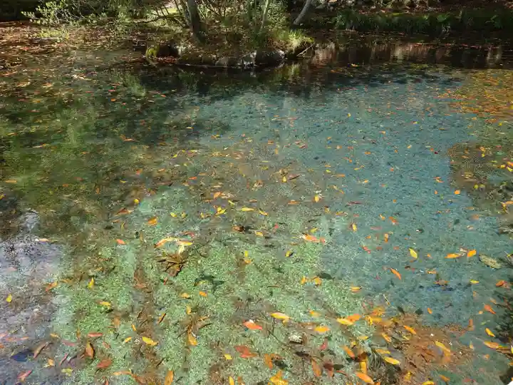 諏訪神社(神奈川県)