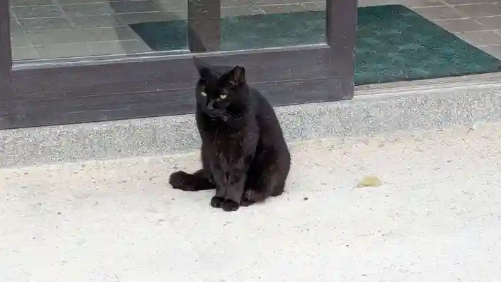 太宰府天満宮の動物