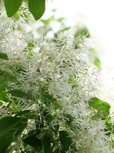 普門寺(切り絵御朱印発祥の寺)(愛知県)