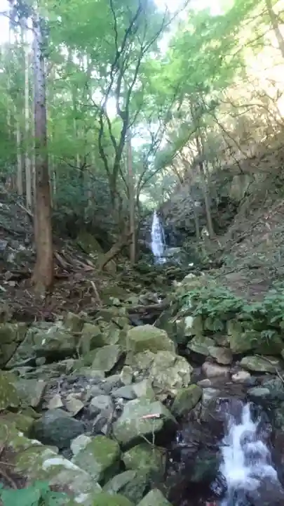 杉神社(鳥取県)