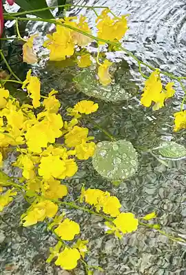 宝満宮竈門神社(福岡県)