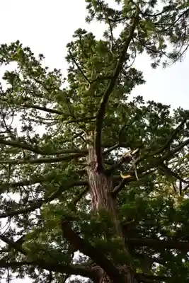 八幡宮(富山県)