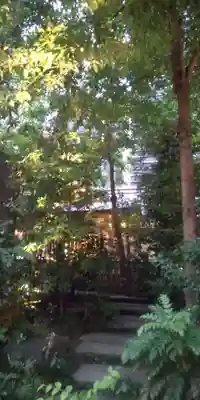 福徳神社（芽吹稲荷）(東京都)