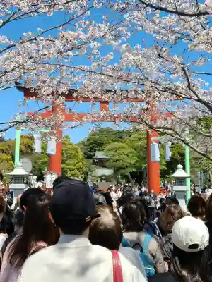 鶴岡八幡宮の{uncategorized: "未分類", other: "その他", undefined: "問題あり", building: "その他建物", grave: "お墓", sacred_gate: "鳥居", guardian: "狛犬", statue: "像", buddha: "仏像", history: "歴史", nature: "自然", garden: "庭園", animal: "動物", pagoda: "塔", temizu: "手水舎", mountain_gate: "山門・神門", sanctuary: "本殿・本堂", subordinate: "末社・摂社", art: "芸術", scenery: "景色", jizo: "地蔵", ema: "絵馬", goshuin: "御朱印", omikuji: "おみくじ", items: "授与品その他", amulet: "お守り", goshuincho: "御朱印帳", eats: "食事", festival: "お祭り", votive_dance: "神楽", shichigosan: "七五三参", wedding: "結婚式", experience: "体験その他", initially: "初詣", around: "周辺", anti_infection: "感染症対策"}
