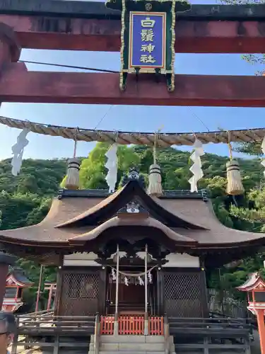 白鬚神社(滋賀県)