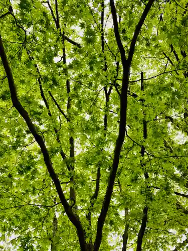 土津神社｜こどもと出世の神さまの自然