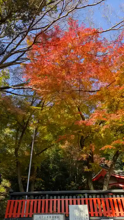 観音寺(山崎聖天)(京都府)