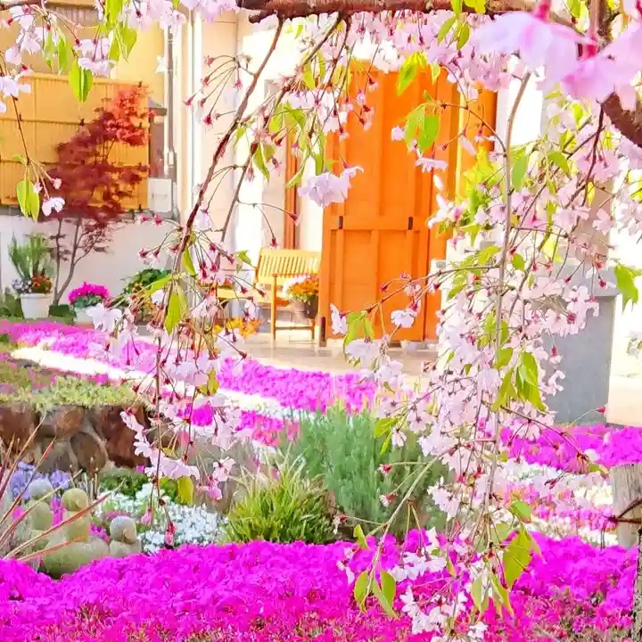 寿量山 速成寺の自然