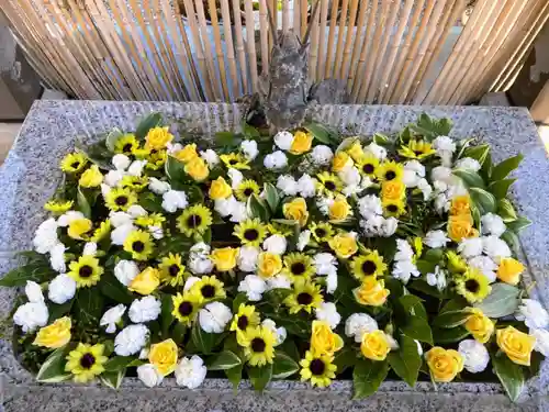 長良神社の手水