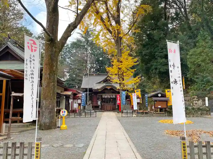 穴澤天神社(東京都)