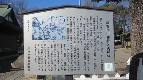 新曽氷川神社(埼玉県)