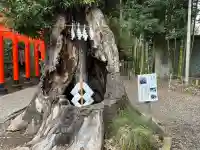 常磐神社の{uncategorized: "未分類", other: "その他", undefined: "問題あり", building: "その他建物", grave: "お墓", sacred_gate: "鳥居", guardian: "狛犬", statue: "像", buddha: "仏像", history: "歴史", nature: "自然", garden: "庭園", animal: "動物", pagoda: "塔", temizu: "手水舎", mountain_gate: "山門・神門", sanctuary: "本殿・本堂", subordinate: "末社・摂社", art: "芸術", scenery: "景色", jizo: "地蔵", ema: "絵馬", goshuin: "御朱印", omikuji: "おみくじ", items: "授与品その他", amulet: "お守り", goshuincho: "御朱印帳", eats: "食事", festival: "お祭り", votive_dance: "神楽", shichigosan: "七五三参", wedding: "結婚式", experience: "体験その他", initially: "初詣", around: "周辺", anti_infection: "感染症対策"}