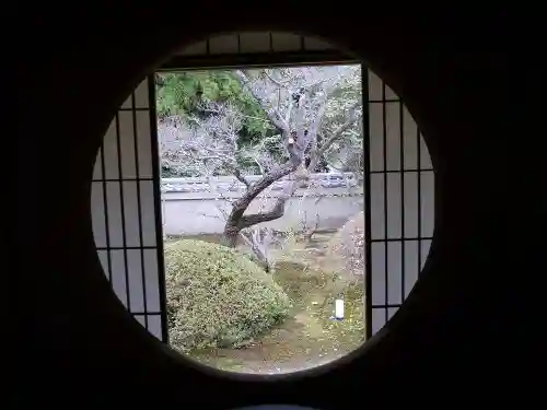 雲龍院の庭園