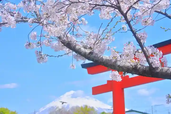 富士山本宮浅間大社(静岡県)