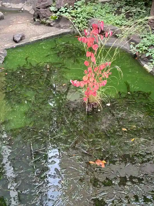 羽衣町厳島神社(関内厳島神社・横浜弁天)(神奈川県)