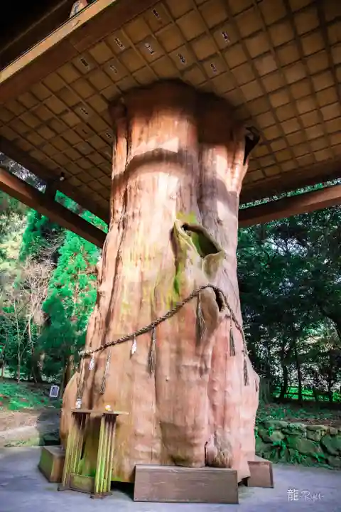 国造神社(熊本県)