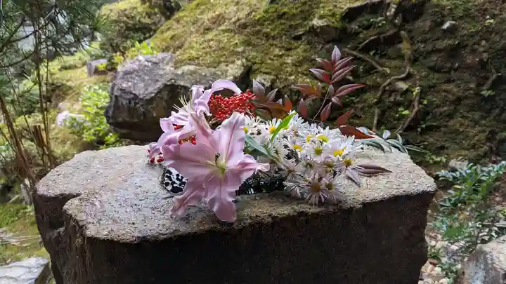 興聖寺(興聖寶林禅寺)(京都府)