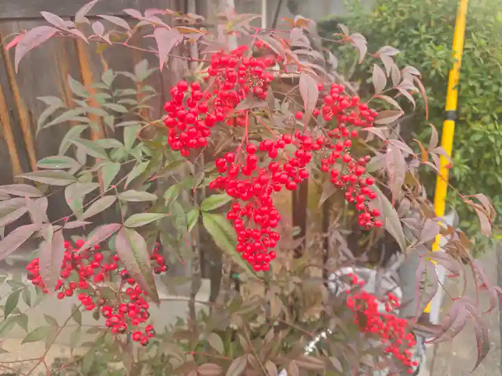 了峰禪寺(了峰寺)(京都府)