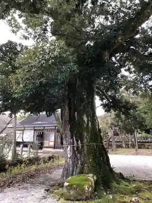 中嶋神社(兵庫県)
