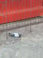 根津神社(東京都)